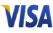 Payment Visa logo