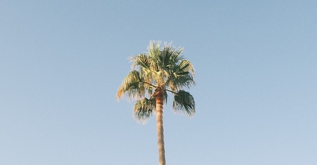 Cilento &ndash; kustsfeer