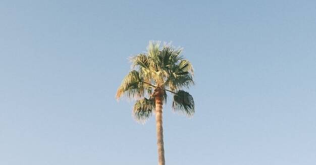 Cilento – kustsfeer