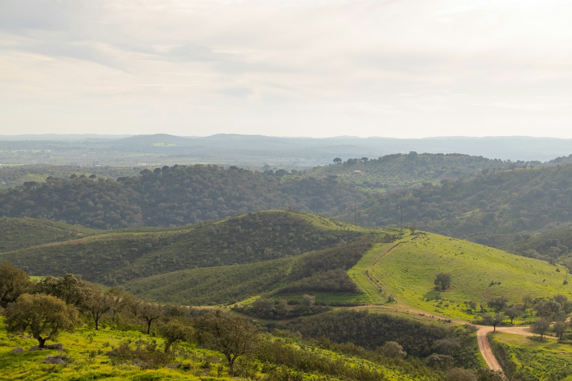 Alentejo &ndash; vergezichten