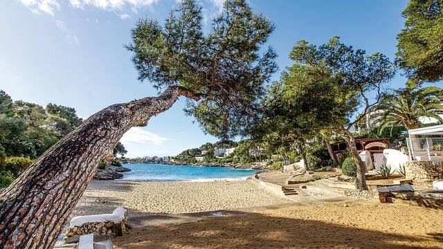 Haven van Cala D'or