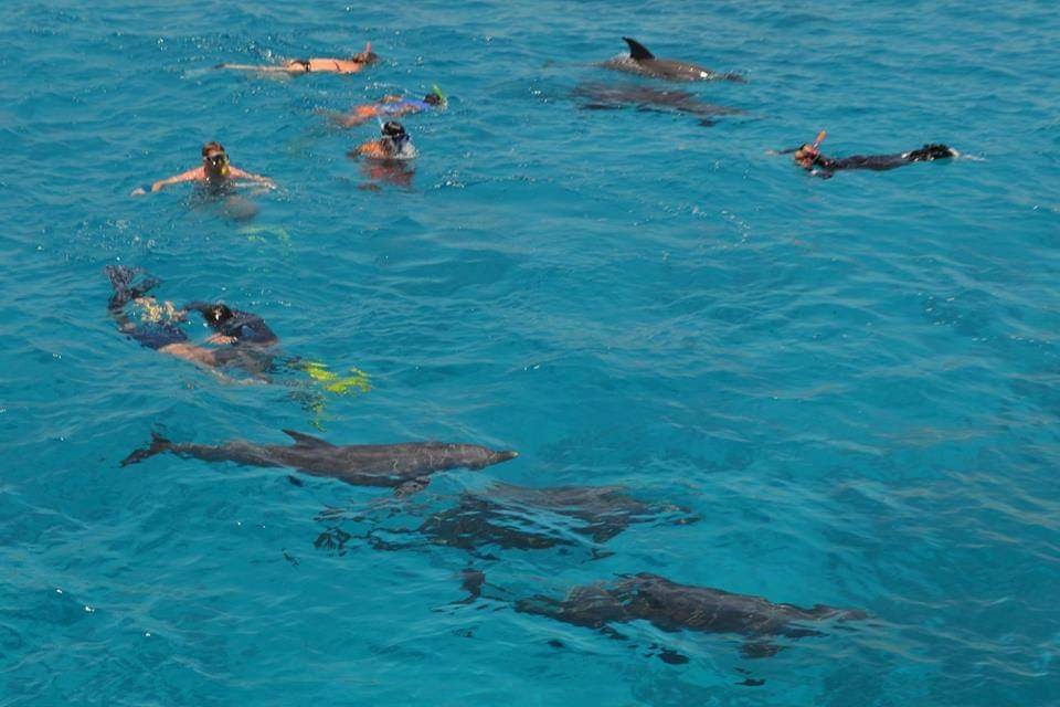 Zwemmen met dolfijnen bij Hurghada