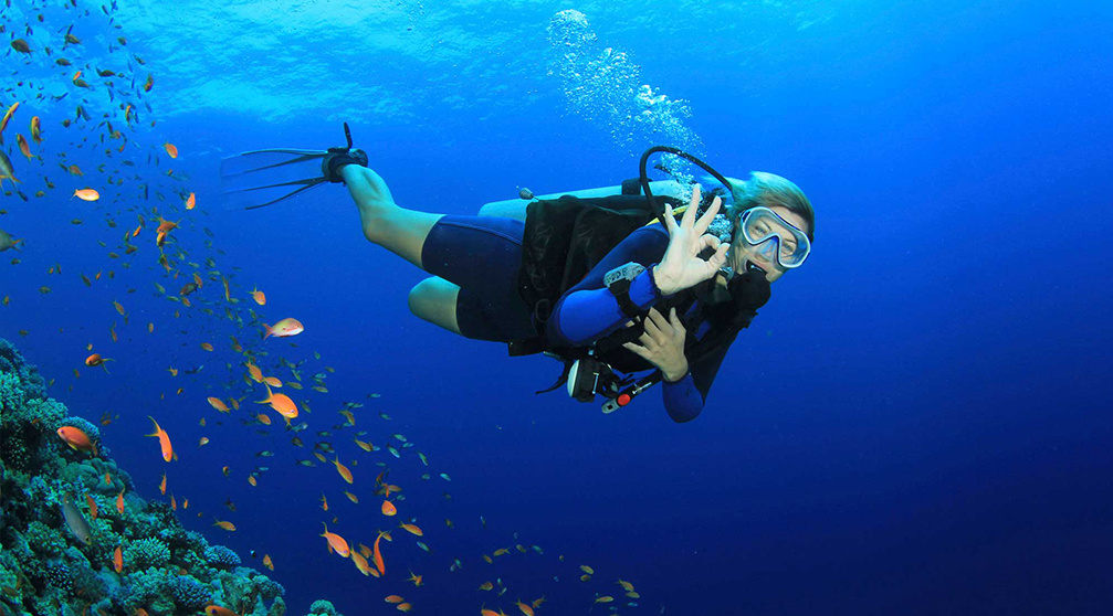 Duiken en snorkelen in de Rode Zee