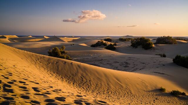 Duinen van Maspalomas
