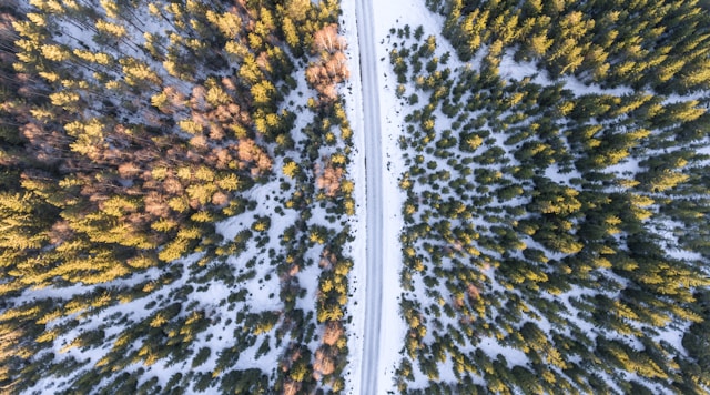 Uitzichten langs het Mj&oslash;sa-meer
