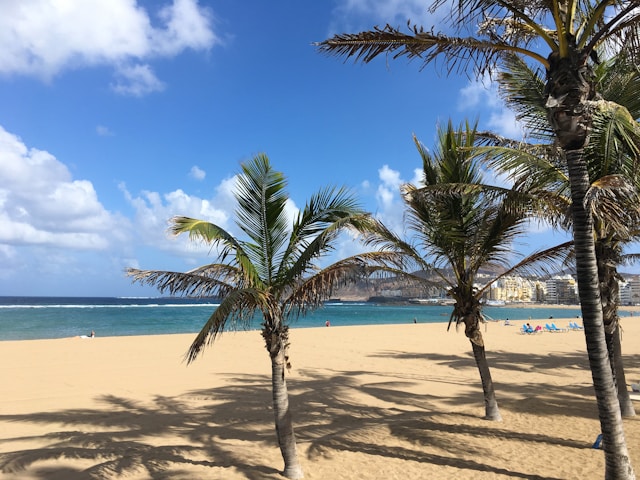 Las Canteras – breed stadsstrand