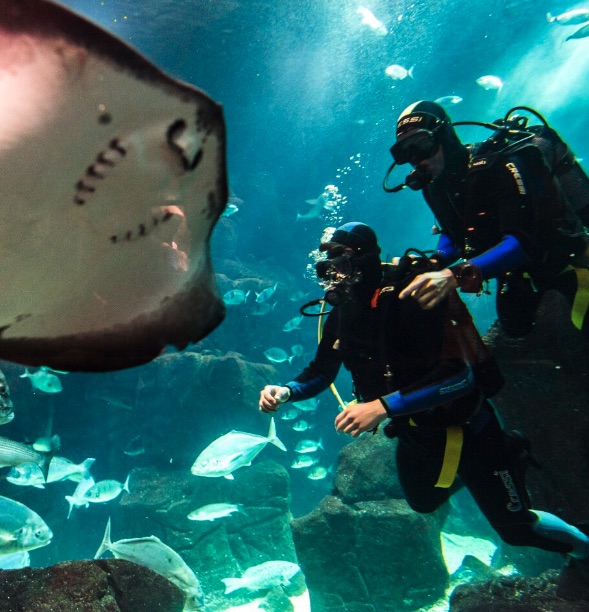 Moderne kamer met balkon