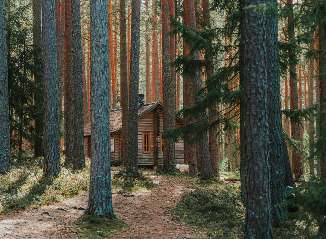 Haven van C&acirc;mara de Lobos met bootjes