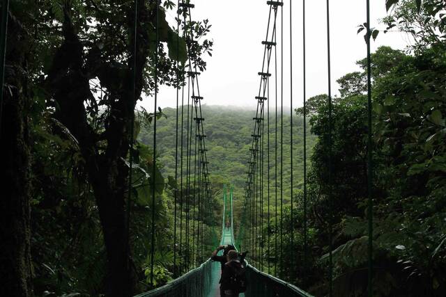 Monteverde brug