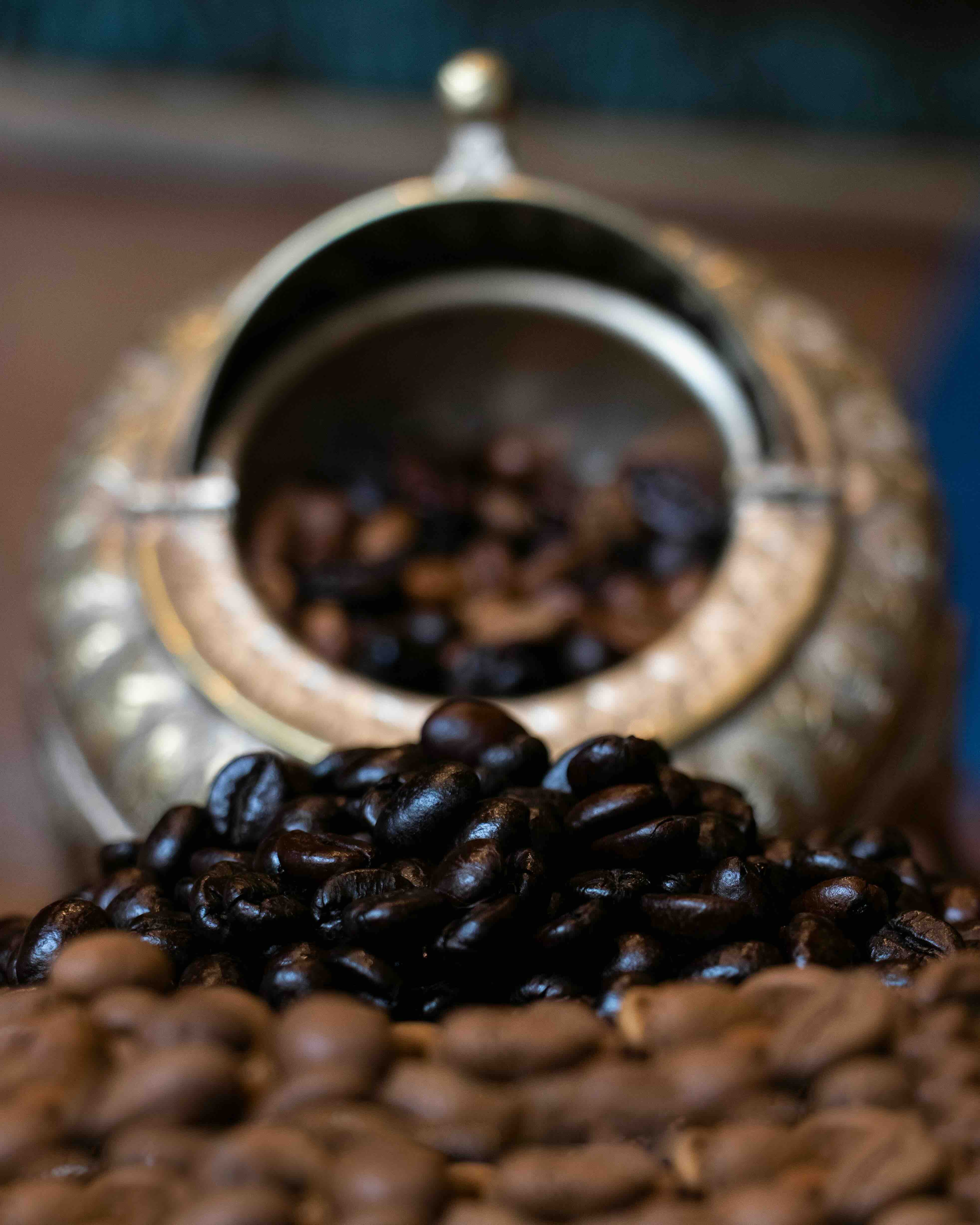 Monteverde &ndash; nacht in het bos