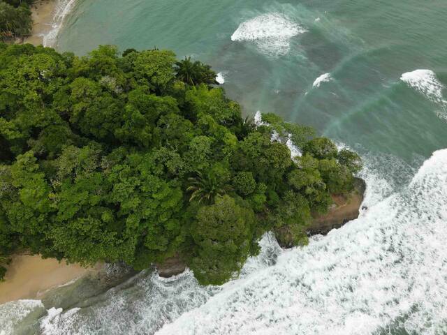Punta Uva