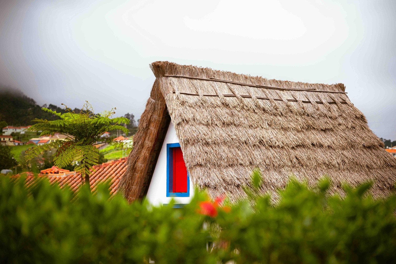 Santana &ndash; omgeving