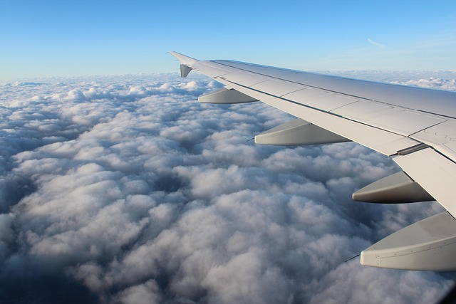 Terugvlucht naar huis