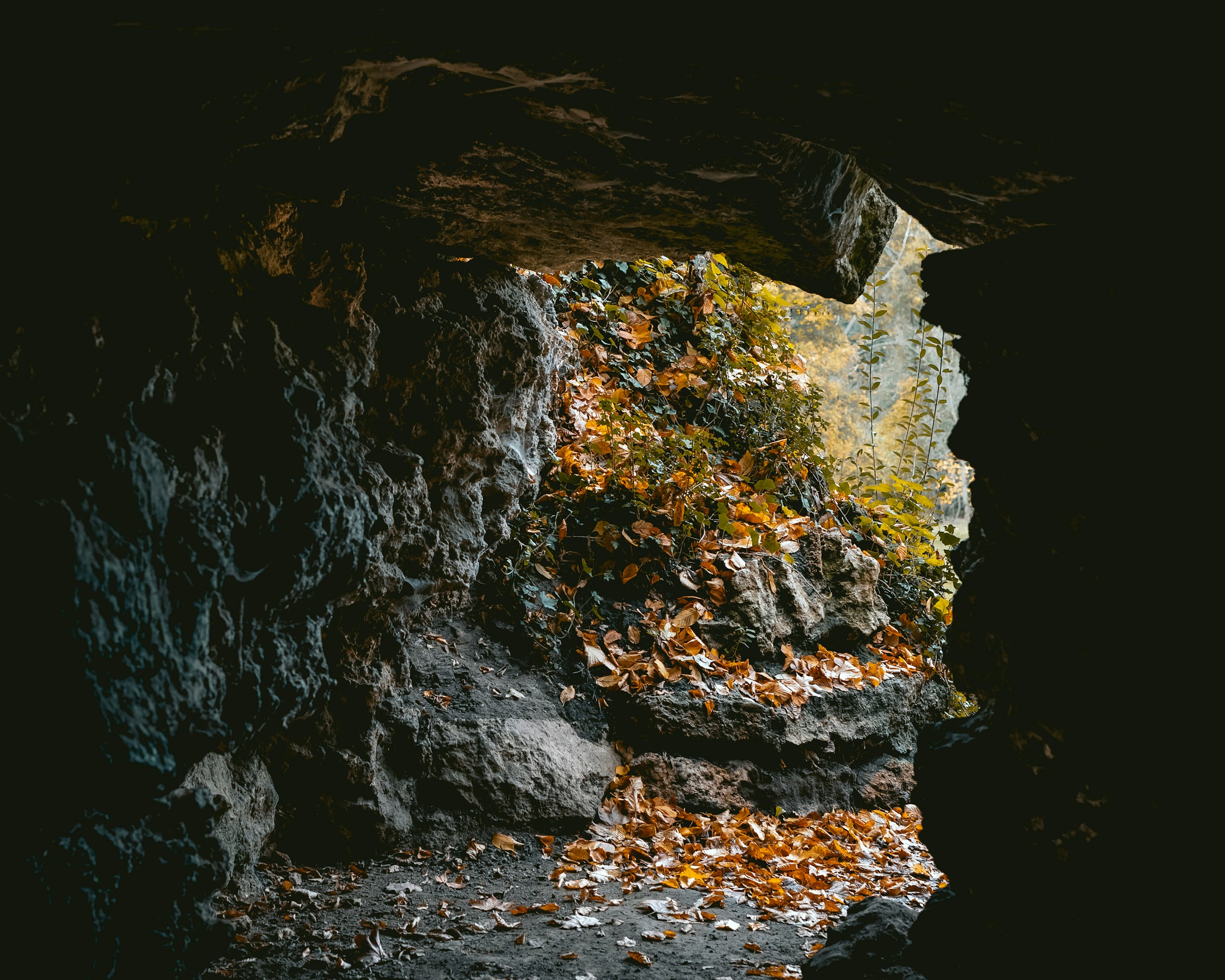 V&iacute;&eth;gelmir lava cave