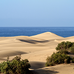 Gran Canaria