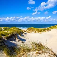 Nederlandse Kust