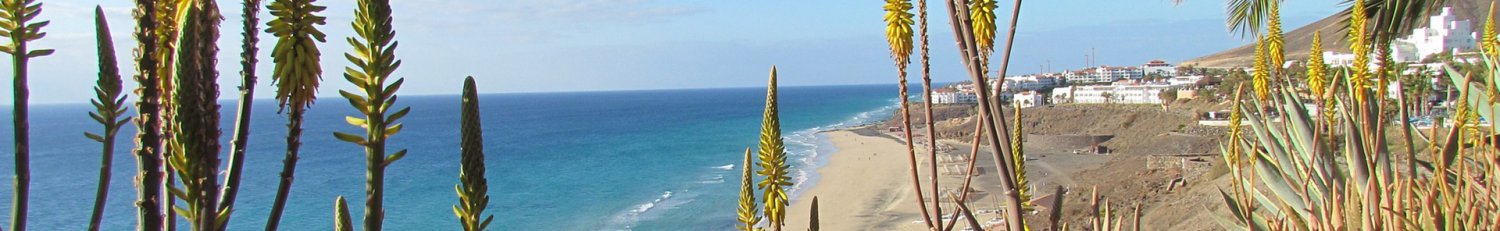 Vakantie Canarische Eilanden