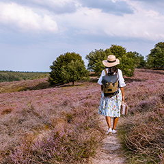 Veluwe