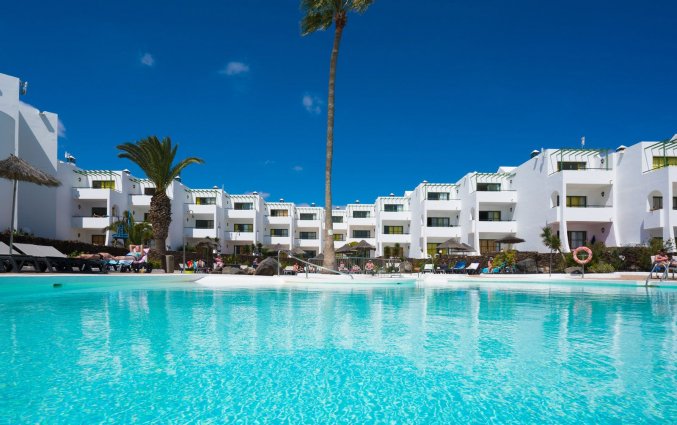 Zwembad met zonnebedjes hotel Club Siroco - Adults only vakantie Lanzarote