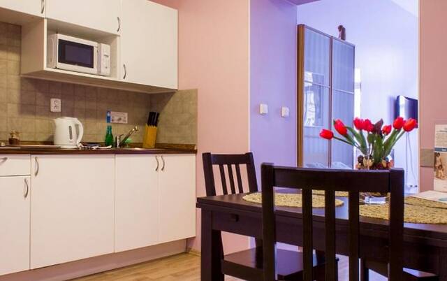 Keuken van Appartementen Royal Court Legerova in Praag