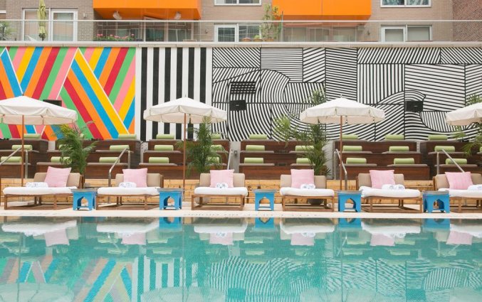 Zwembad met ligbedden en op achtergrond gekleurde muren van hotel & pool McCarren New York