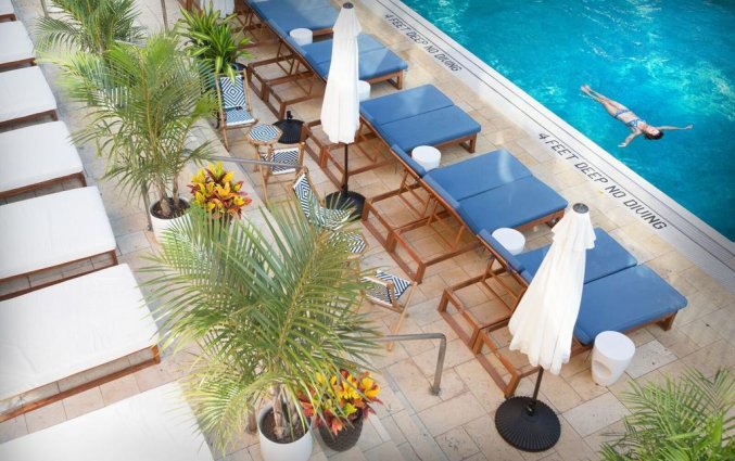 Zwembad met ligbedjes en parasols van hotel & pool McCarren New York