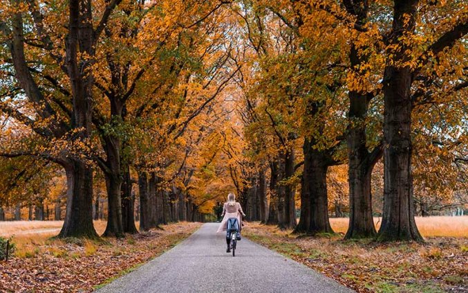 Veluwe - Vrouw bos