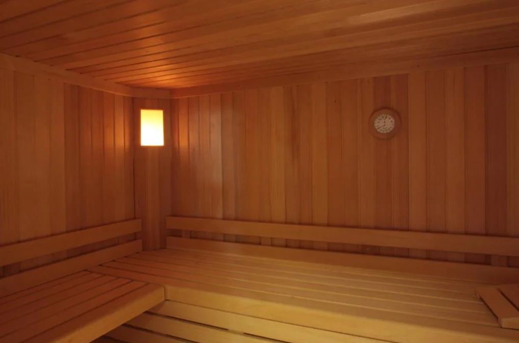 Hotel Palace San Michele sauna