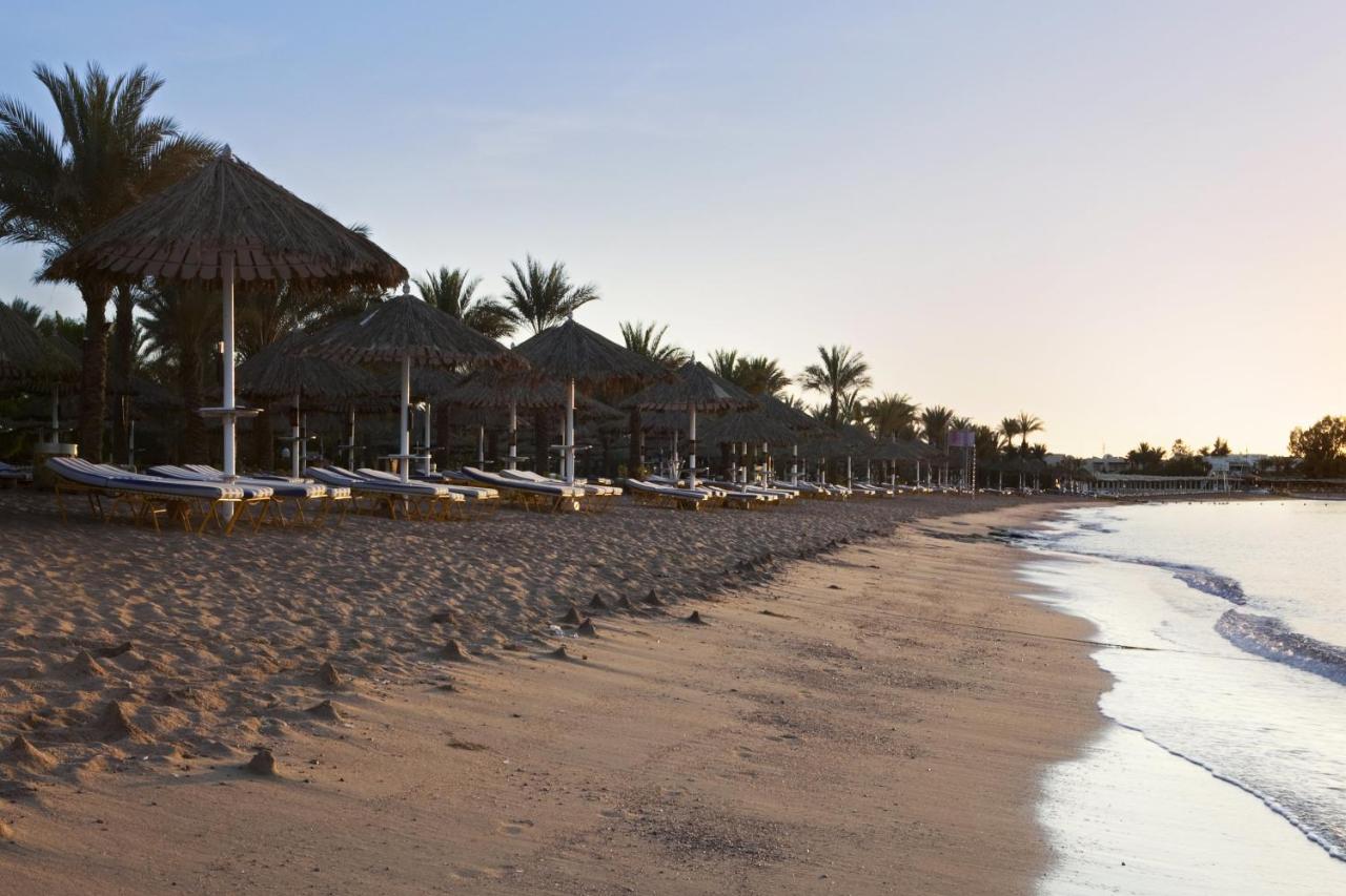 sharm dreams resort strand