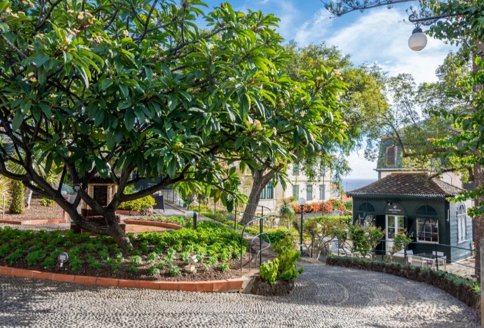 Hotel Arts in Conde Carvalhal tuin