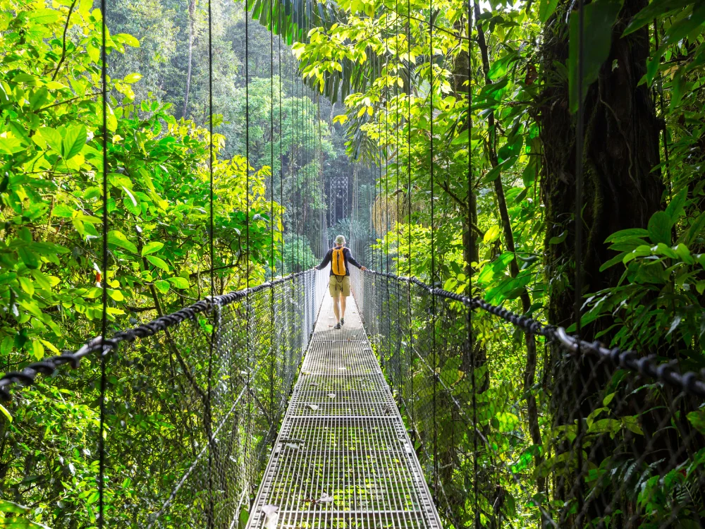 Luxe rondreis Costa Rica - Loopbrug