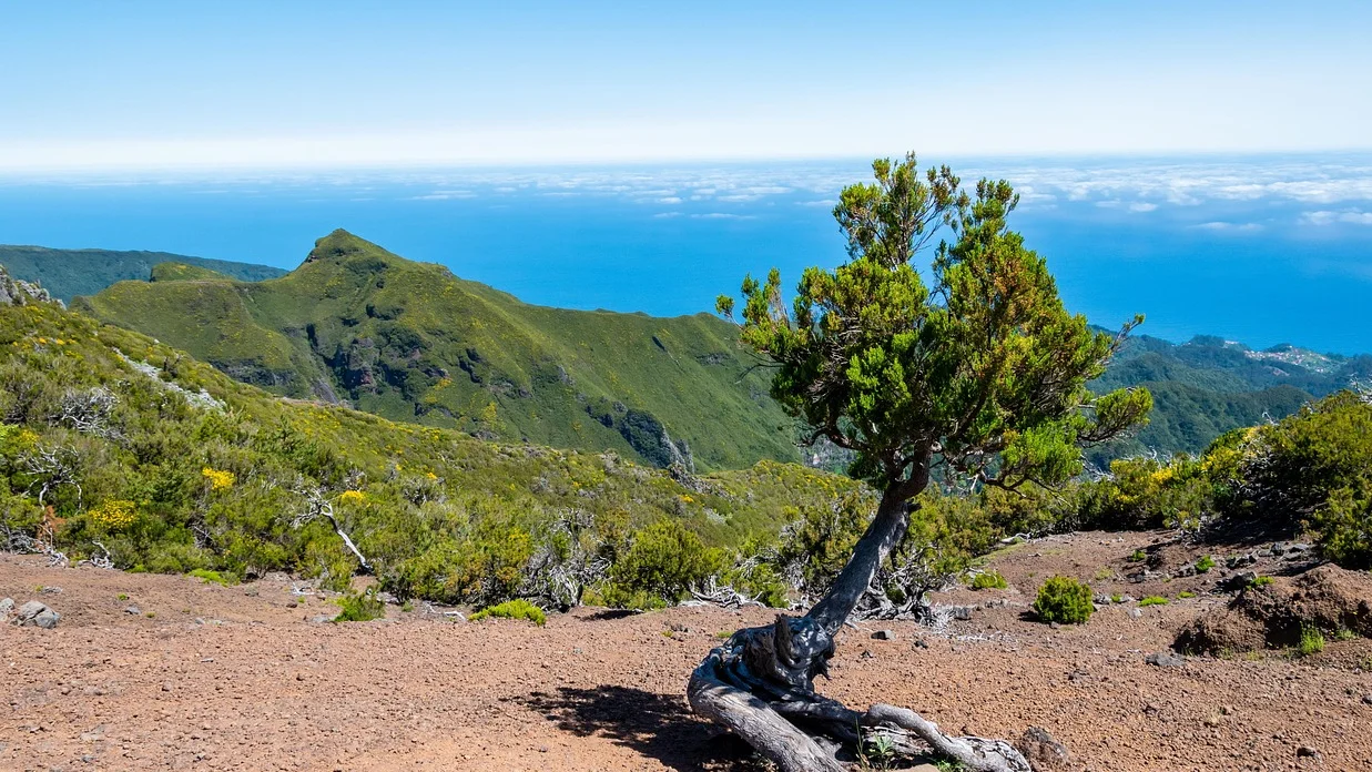 Madeira-Island