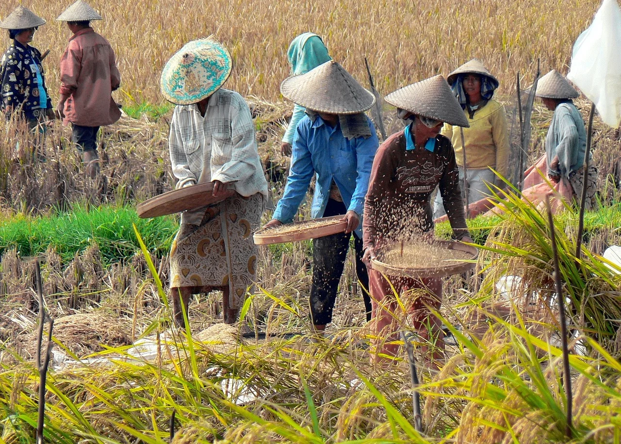Bali - Cultuur & Ontspanning 3
