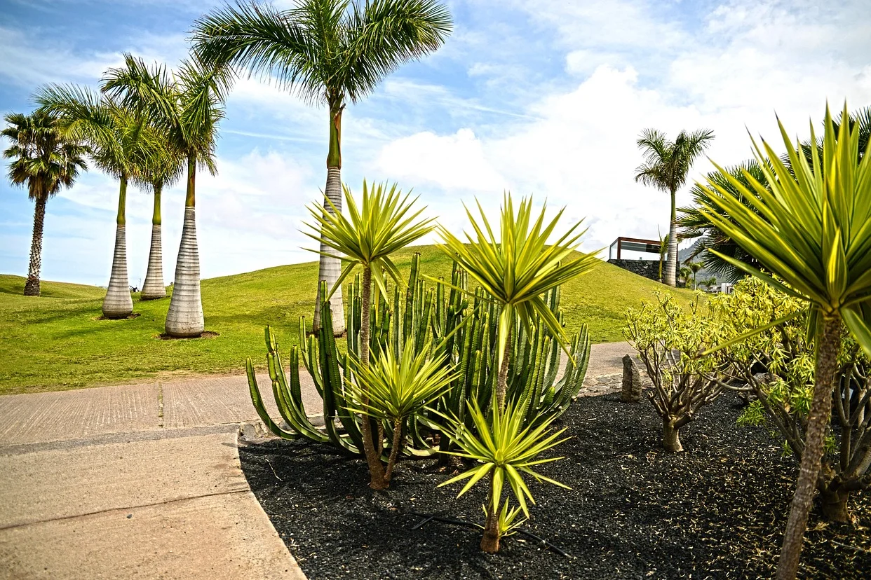 Tenerife6