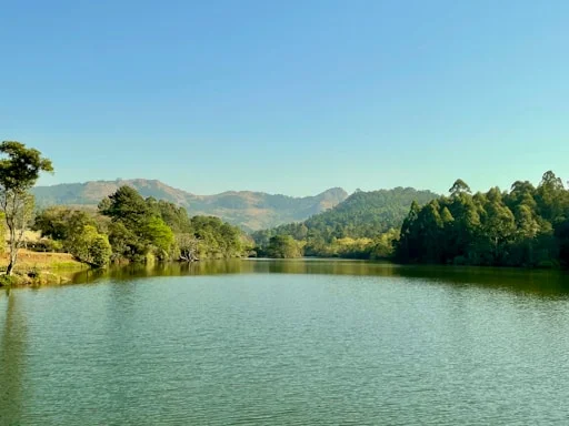 Rondreis Zuid-Afrika4