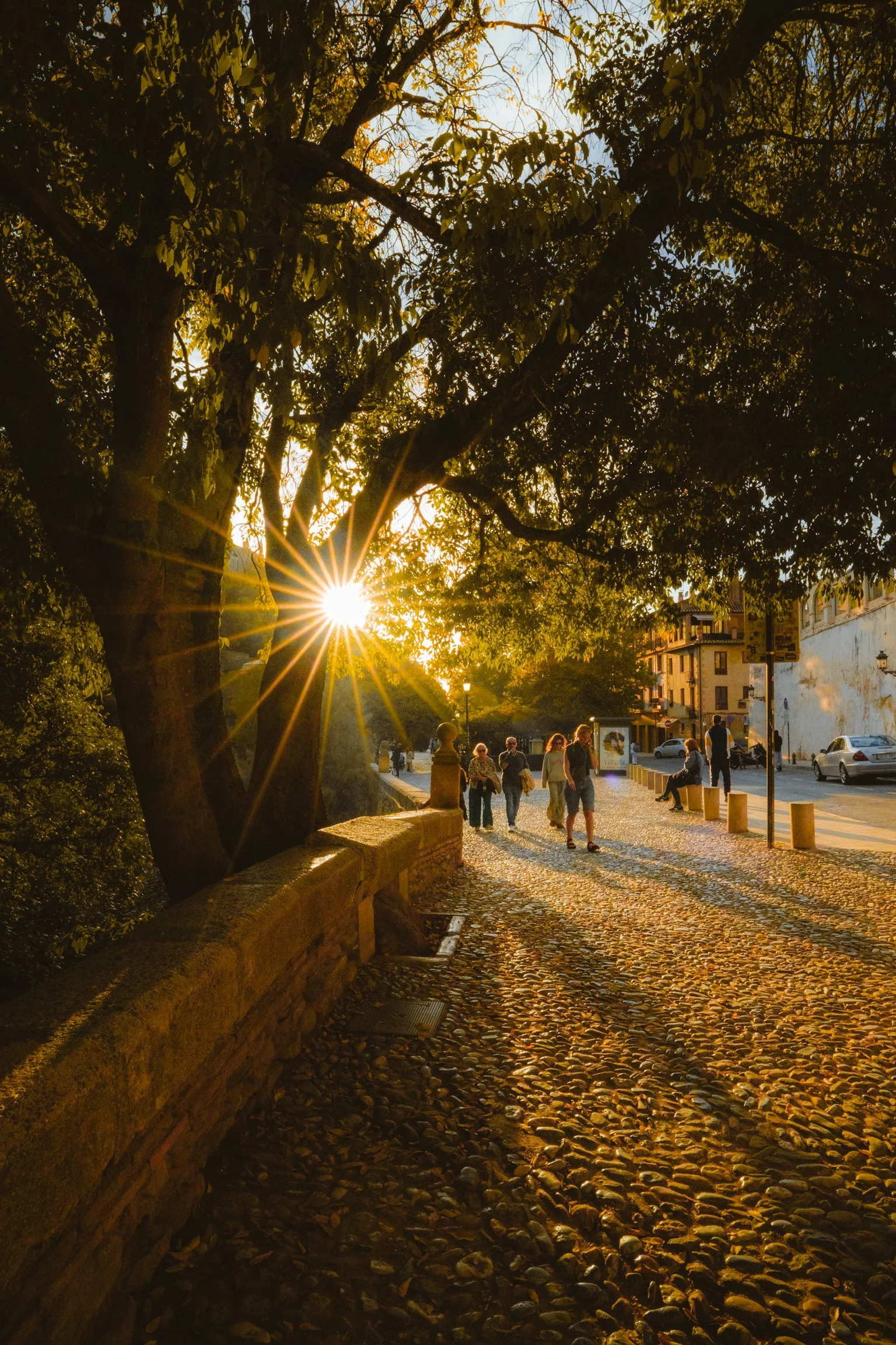 Combinatiereis Sevilla-Granada2