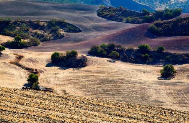 Andalusie-Platteland