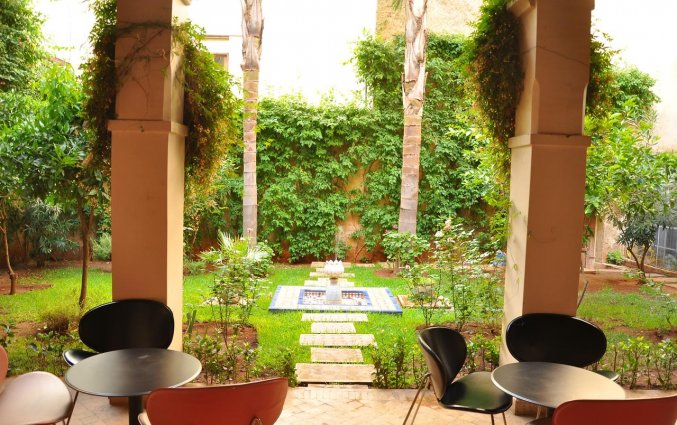 Riad Au 20 Jasmins
